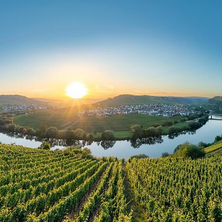 Holiday Home In The Eifel-Mosel With Garden Roes 外观 照片